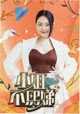 星辰影院古装短剧替嫁新娘海报